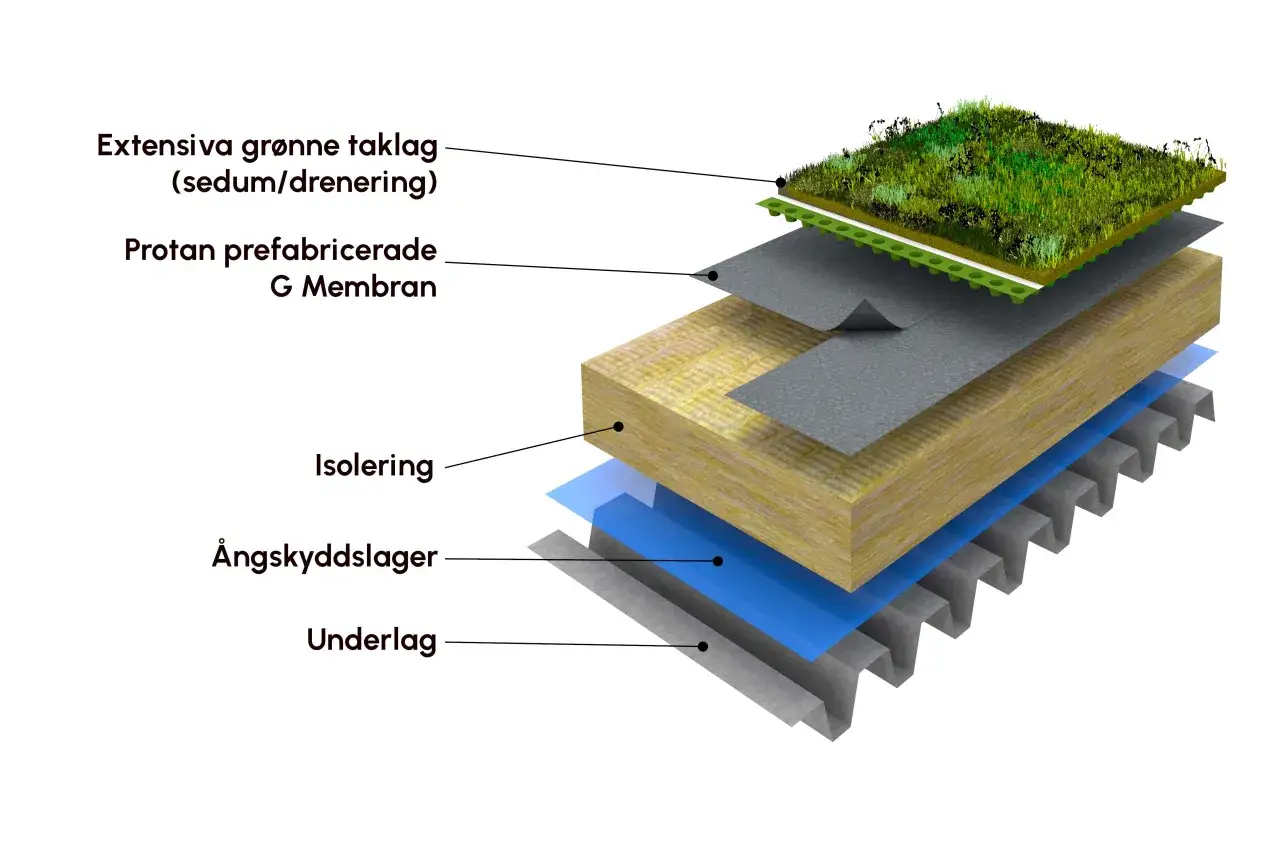 Explosion av en sedumtak konstruktion med lager av vegetation, membran, isolering, ångskydd och underlag.